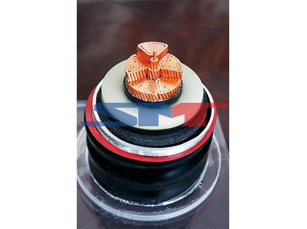 LBF铝包覆陆续挤压机