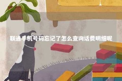 联通手机号码遗忘了怎么盘问话费明细呢